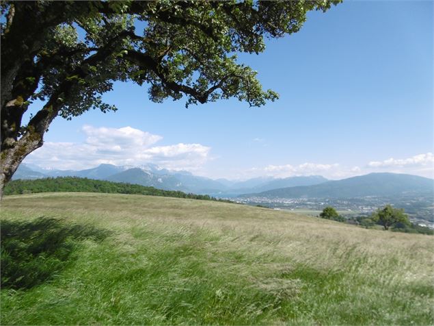 Point de vue - Ferrières - Alter Alpa Tourisme