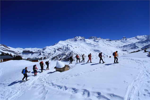 Piste Forestière du Bersend.