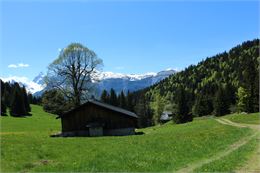 Sentier des Molliets