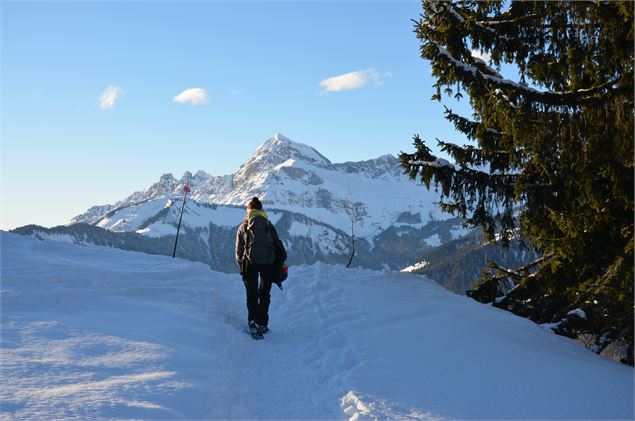 Descente du Mont Lachat à Crest-Voland / Cohennoz - Office de Tourisme du Val d'Arly