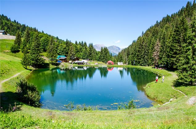Aire de pique-nique et barbecues du Plan Désert