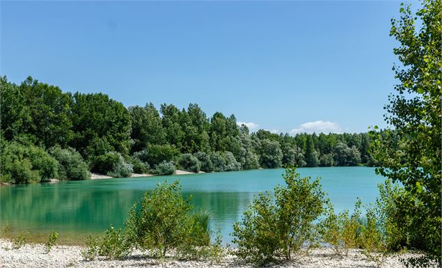 Plan d'eau Brotteaux - Michael Zeilfelder