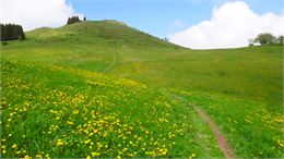 Alpages au pied de la Pointe de Miribel - M&B Tourisme