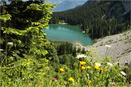 Mont-Saxonnex - Cluses Arve & montagnes Tourisme