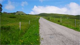 Photo d'un chemin sur le plateau de Plaine-Joux - M&B