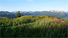 Point de vue depuis le parcours de VTT - Môle & Brasses tourisme