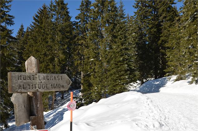 Le Tour du Mont-Lachat - Office de Tourisme du Val d'Arly