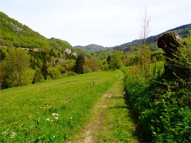 Montée aux Chalets de l'Ecutieux