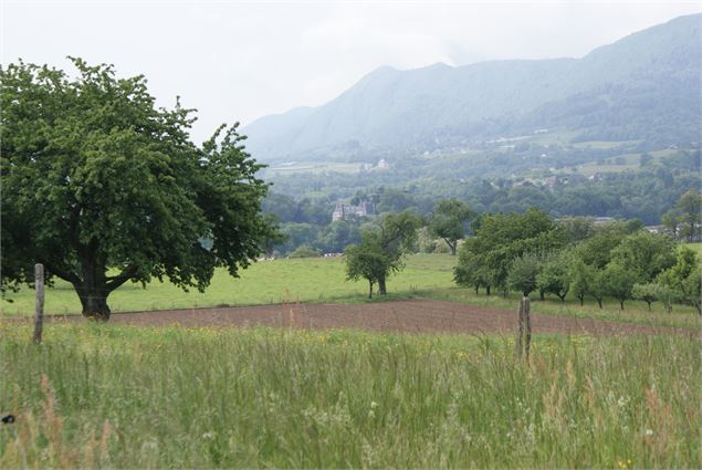 Boucle des marais - Ville de La Motte-Servolex