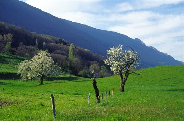 Vue Barbizet - Ville de La Motte-Servolex