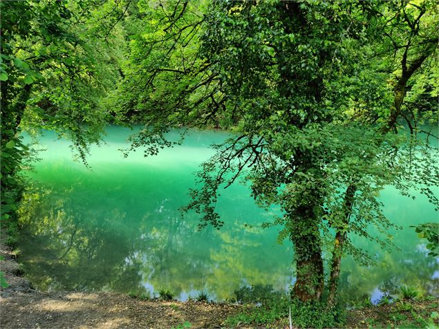 Lac bleu au printemps à Ambérieu - S.Megani