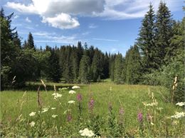 Plateau de Loëx - Praz de Lys Sommand Tourisme