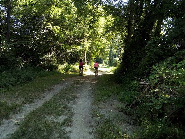 vélo sur les bords de l'Ain - S.Megani