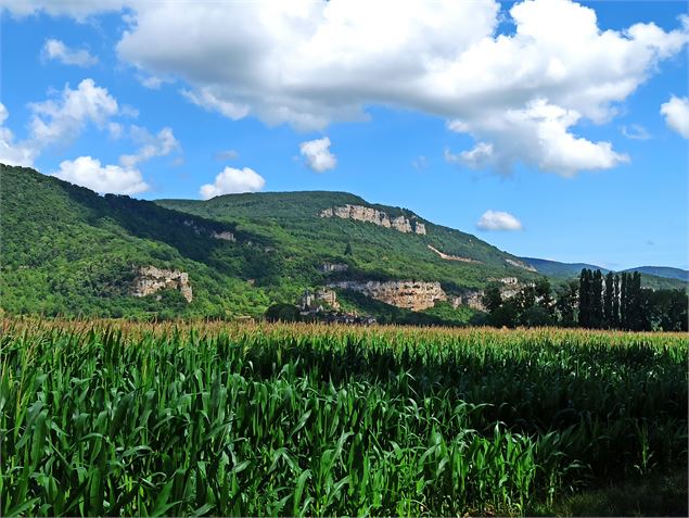 vers saint sorlin en bugey - K.Tranchina