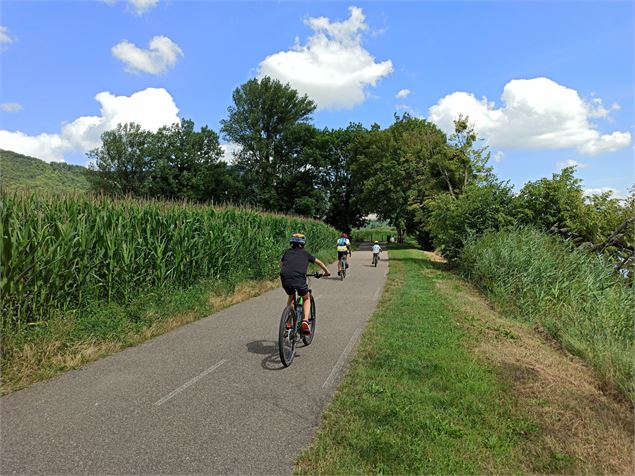 vélo sur les bords du Rhône - K.Tranchina