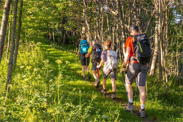Famille de randonneurs en forêt - Thibaut.Blais