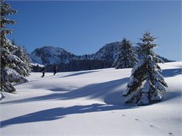 Plateau des Glières - Faucigny Glières Tourisme