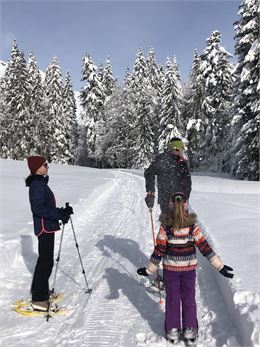 Balade en raquettes - Haut-Giffre Tourisme
