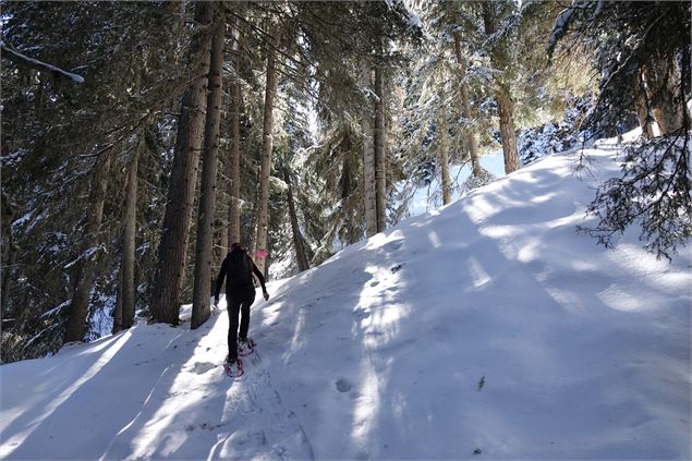 La Grange à Tienne Oeudan - Verbier Tourisme
