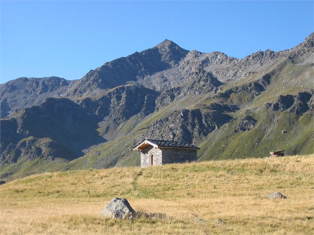 Notre Dame Des Neiges