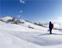 Tour du lac de la mouille au blé - Les Gets tourisme