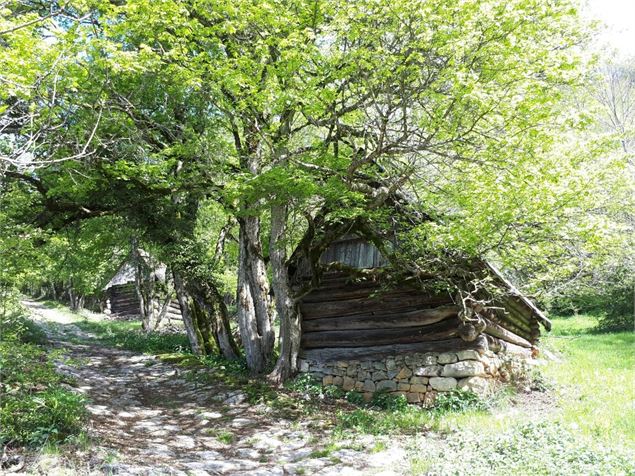 Les tours Saint-Jacques - les chalets de la Figlia