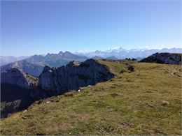 Plateau Sous-Dine - Office de Tourisme