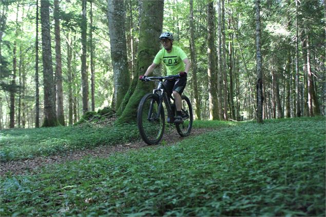 Parcours VTT 56 bleu - Le Jorat - Espace FFC Ain Forestière - Sébastien Beaudon