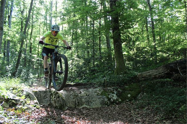 Parcours VTT 54 bleu - Arans et les Hauts d'Evosges - Espace FFC Ain Forestière - Benjamin Dessales