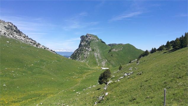 La Pointe de Talamarche - 1850 mètres d'altitude - Nicole Tissot