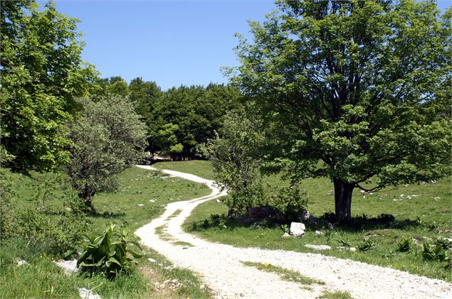 Chemin d'alpages - HRT