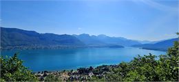 Vue sur le lac - Robin Basset