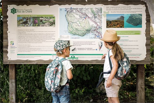 Tour du Roc de Chère_Talloires-Montmin - Peignée Verticale / A. Tardy