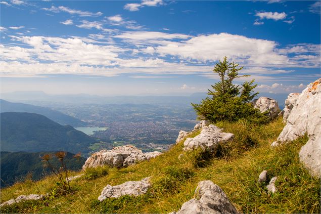 Le Plateau du Parmelan - Yan Gaëtan Olivo / Lac Annecy Tourisme