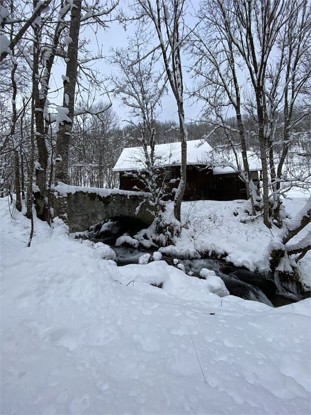 Sentier Raquettes Le Moulin - OT Espace Glandon