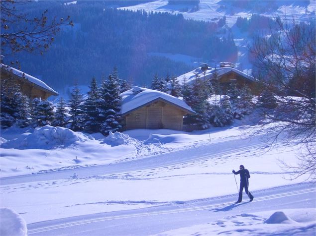 Piste de ski de fond verte - OTCombloux