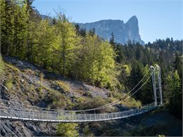 Balade du Plateau d'Assy au Lac Vert par la passerelle du Nant Bordon_Passy - Bichette Voyage