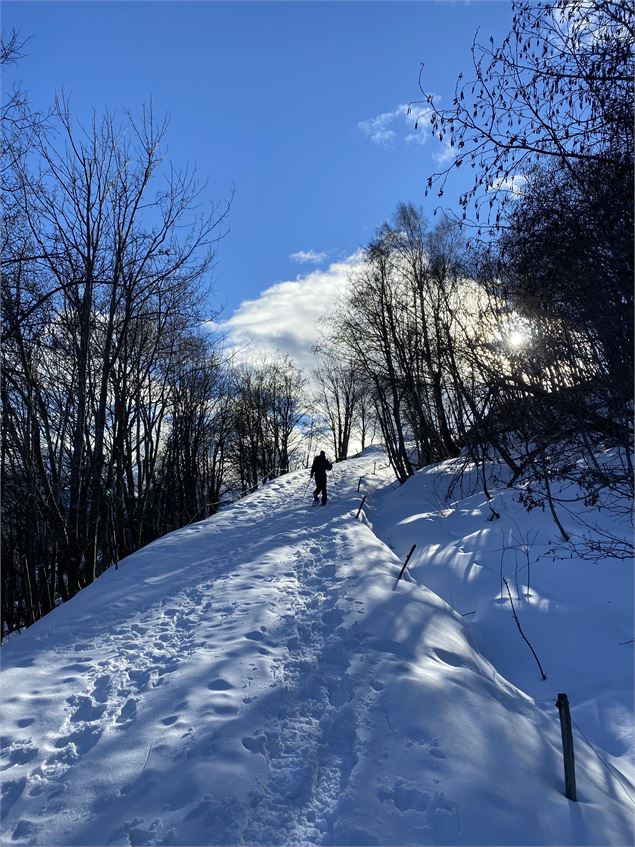 Sentier du Haut - LBOUTIOT