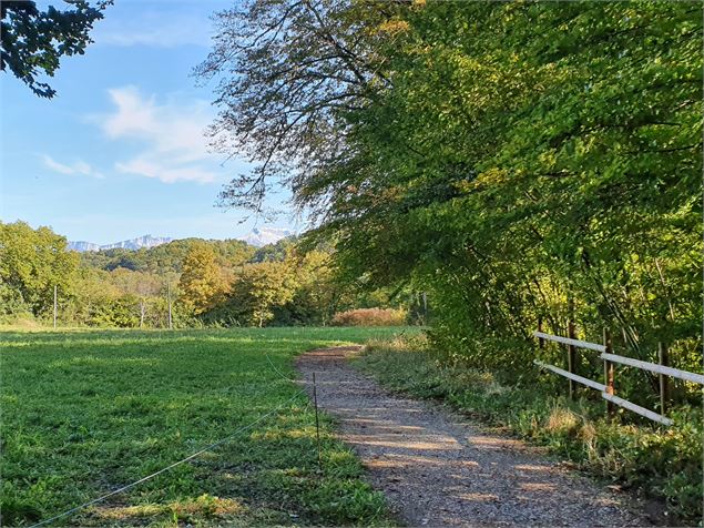 Sentier - Alter Alpa Tourisme