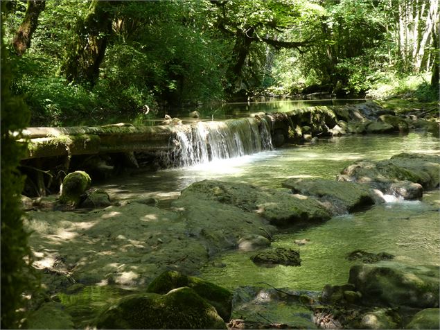 Sentier de balade : la Pernaz sauvage - Marilou Périno