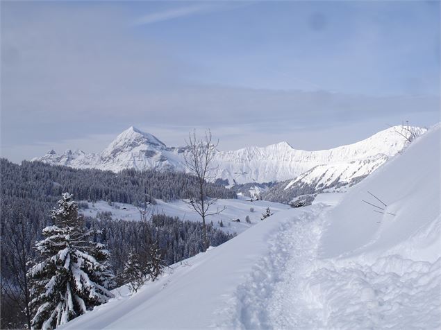 Vue depuis Le Mont-Rond - OTI Val d'Arly