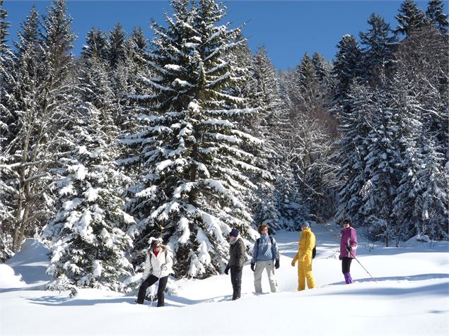 1 - Boucle de la Grande Forêt