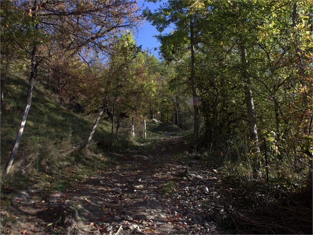 Chemin - Les Arcs