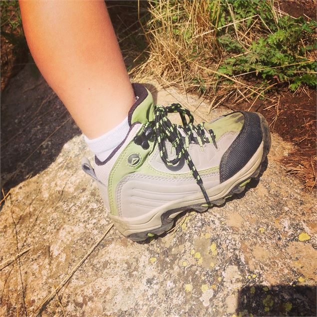 St Colomban - St Alban (sentier balcon)