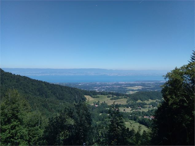 Vue sur le Lac Léman - OT Alpes du Léman