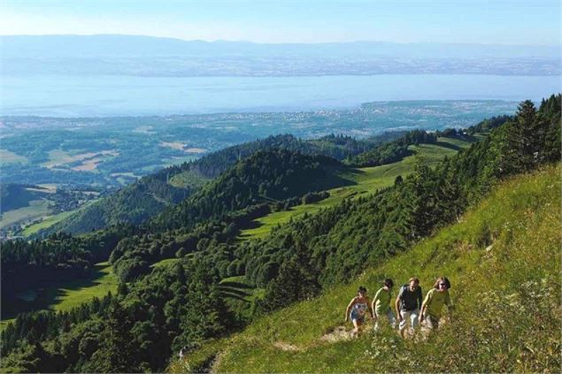 Montée du Mont Forchat