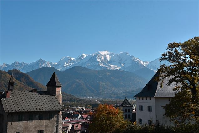 Vue sur la tour et le Mont-Blanc - Wendy Coulon