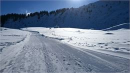 La boucle de Gron - Praz de Lys Sommand Tourisme