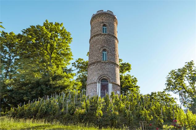 Tour des Minimes_Montmerle-sur-Saône - Quentin TOURNIER
