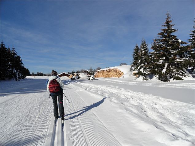 Ski de fond sur le Plateau de Retord au départ de Cuvéry - ©M.Jacques - OT Terre Valserine